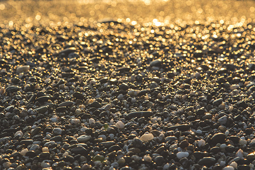 Le noisetier et les pierres naturelles